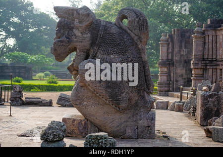 Simha - gaja, Gajasimha (Lion-Elephant) Skulptur bei Sun Tempel, Konark. Der Elefant Teil der Skulptur hat sich wahrscheinlich im Laufe der Zeit zerstört worden. Stockfoto