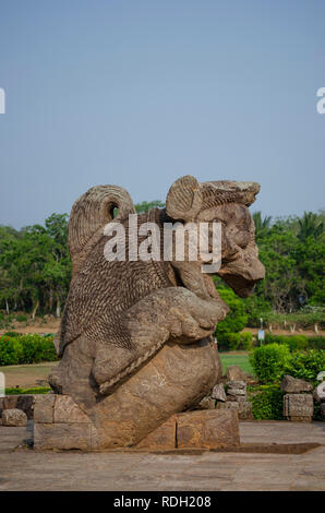 Simha - gaja, Gajasimha (Lion-Elephant) Skulptur bei Sun Tempel, Konark. Der Elefant Teil der Skulptur hat sich wahrscheinlich im Laufe der Zeit zerstört worden. Stockfoto