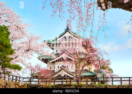 Hirosaki, Japan - 23 April 2018: Sakura - Cherry Blossom Blüte in Hirosaki Burg Hirosaki Park, einer der schönsten sakura Punkt in der Toho Stockfoto