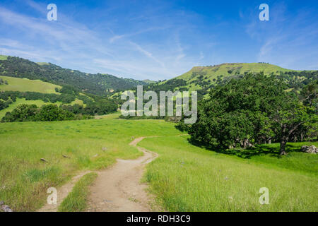 Wanderweg in Sunol regionale Wildnis, San Francisco Bay Area, Kalifornien Stockfoto