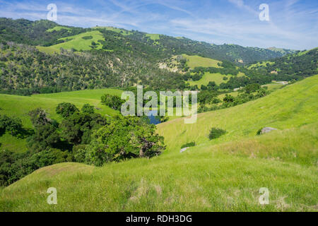 Grünen Hügel in Sunol regionale Wildnis, San Francisco Bay Area, Kalifornien Stockfoto