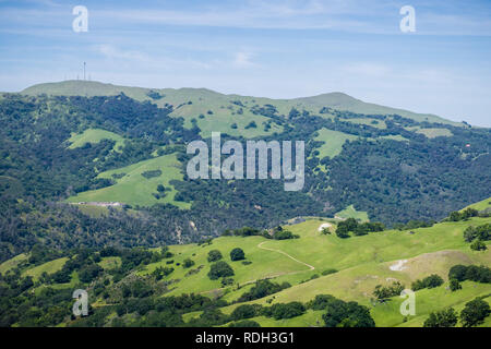 Blick Richtung Mission Peak, Sunol regionale Wildnis, San Francisco Bay Area, Kalifornien Stockfoto