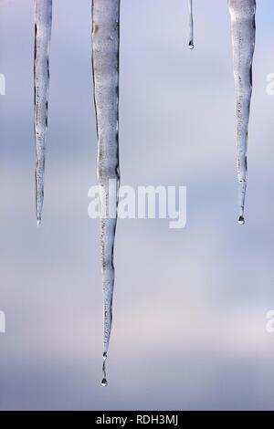 Eiszapfen Stockfoto