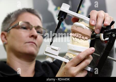 Dental Labor, Herstellung einer Prothese durch ein Handwerksmeister, Kontrolle der zahnmedizinischen Arbeit im Artikulator Stockfoto