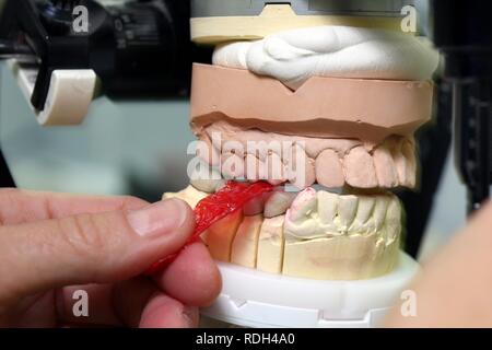 Dental Labor, Herstellung einer Prothese durch ein Handwerksmeister, Kontrolle der zahnmedizinischen Arbeit im Artikulator, ein Kiefer Stockfoto