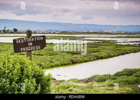 Restaurierung in der Feuchtgebiete in Alviso Marsh, Don Edwards Wildlife Refuge, South San Francisco Bay, Kalifornien Stockfoto