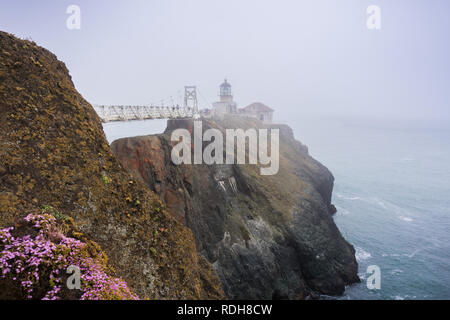 Point Bonita Leuchtturm an einem nebligen Tag, Marin Headlands, San Francisco Bay Area, Kalifornien Stockfoto