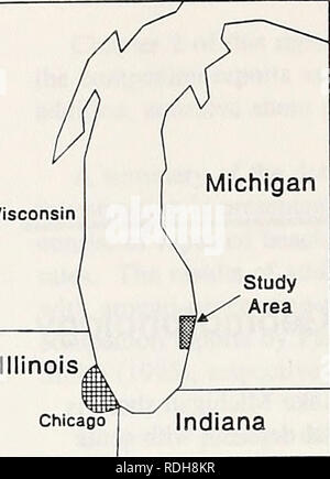 . Wirksamkeit der Strand die Nahrung für zusammenhängende Ufer, St. Joseph, Michigan See. Strand Nahrung; Sedimenttransport; Häfen. Studie Indiana Hafen Landungsbrücken St. Joseph Wasserwerk UKE MICHIGAN K. Bitte beachten Sie, dass diese Bilder sind von der gescannten Seite Bilder, die digital für die Lesbarkeit verbessert haben mögen - Färbung und Aussehen dieser Abbildungen können nicht perfekt dem Original ähneln. extrahiert. Nairn, Robert Bruce, 1960; United States. Armee. Korps der Ingenieure; US Army Engineer Wasserstraßen Experiment Station; Küsten- und Hydraulik Labor (U. S. Army Engineer W Stockfoto