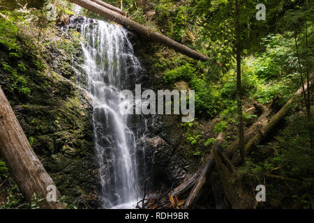 Wasserfall in Big Basin State Park, San Francisco Bay Area, Kalifornien Stockfoto