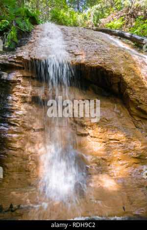 Wasserfall in Big Basin State Park, San Francisco Bay Area, Kalifornien Stockfoto