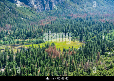 Yosemite Valley als Vom trail Upper Yosemite Falls gesehen, Yosemite National Park, Kalifornien Stockfoto