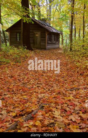 Herbst Farben auf Spaziergang im Wald Stockfoto