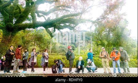Taipei, Taiwan - 21. Januar 20176: Frühling in Shilin Residenz des Präsidenten Shilin in Taipei, Taipei, Taiwan Stockfoto