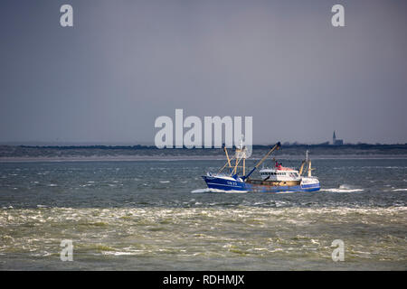 Fischerboot, Hintergrund der Insel Texel. Den Helder, Niederlande. Stockfoto