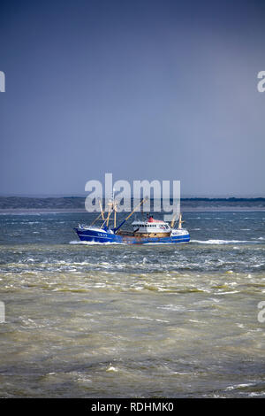 Fischerboot, Hintergrund der Insel Texel. Den Helder, Niederlande. Stockfoto