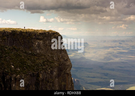 Ein einsamer Wanderer steht auf einem malerischen Blick auf das Amphitheater, Anordnung in der Drakensberg, Kwazulu Natal, Südafrika. Stockfoto