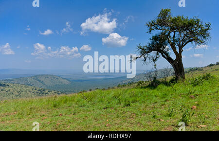 Akagera National Park, Parc National de l'Akagera, östlichen Provinz, Ruanda ist eine Wiederherstellung Conservation Area, die von afrikanischen Parks verwaltet. Stockfoto