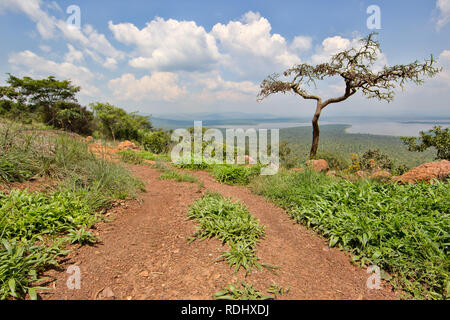 Akagera National Park, Parc National de l'Akagera, östlichen Provinz, Ruanda ist eine Wiederherstellung Conservation Area. Stockfoto