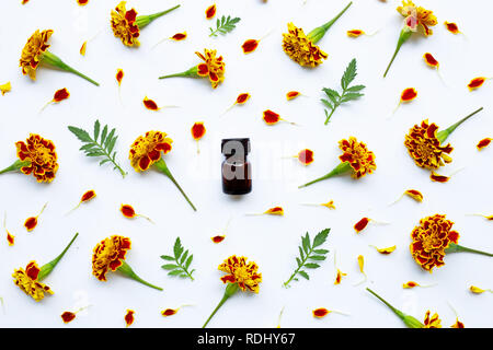 Ätherisches Öl der Ringelblume Blume Stockfoto