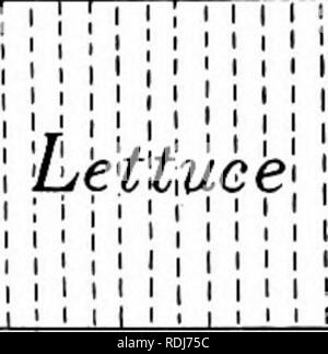 . Gärten und ihre Bedeutung, von Dora Williams. Schule Gärten. Der junge Landwirt Almanach 189 März 2 g, sgoj. In dieser Nacht waren einige Kinder nach der Schule zu trans-Anlage die Tomate. Die Töpfe wurden mit Lehm gefüllt. Es gab nur eine Tomate in jedem Topf, weil die Töpfe sind klein und die Pflanzen groß wachsen. Wir hatten 71 Töpfe in allen und fünfzig - vier Tomaten. Wir haben 17 leere Töpfe. Ma?t/i Ji, IQOJ. Wir beendeten unseren kalten Rahmen. In der morn - ing einige der jungen Samen in sie gepflanzt. Die Samen wurden von Kopfsalat und Radieschen. Den Kopfsalat Samen ist lang, schmal und schwarz. Die radieschen ist ROUN Stockfoto