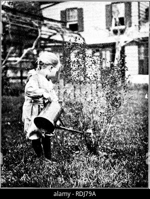 . Gärten und ihre Bedeutung, von Dora Williams. Schule Gärten. Die KUNST DES MAKINC, THINCS CROW lO^Verständnis der Wissenschaft der Bewässerung - und appling in Aktion, nicht zwangsläufig, tliat unsere alten Freunde die Bewässerung Topf und der Schlauch muss auf dem Regal gelegt werden. In der Tat sie noch immer ihre Plätze. Aber ein Einsteiger Sets viel zu hohen Wert auf Sie. Was mehr ist, er diese nicht richtig einsetzen. Ein "Greenhorn", verrät sich am ersten Garten Lektion durch die Art und Weise, wie er diese Artikel verarbeitet. Wir haben alle gesehen, wie liim steht er am Mittag - Tag in May) - compla - neu Besprengung seinen Po Stockfoto