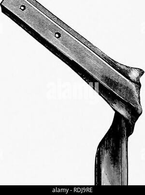 . Mensch und Tier in der östlichen Äthiopien: von Beobachtungen in British East Africa, Uganda und dem Sudan. Natural History; indigene Völker; Ethnologie. 26 östlichen ÄTHIOPIEN II der Vögel die folgenden Ihn interessieren wird: Strauße, Trappen, Adler, Falken und Geier; Würger sitzen auf der Fernschreiber Drähte. Unter anderem wird er die glossy Starling, drongo, Webervögel, Chats erkennen, die gekrönten Kran, Hornbill, touraco, coly, Schwalbe, Bienenfresser, Storch, oxpecker und die Sekretärin Vogel. Die Uganda Railway ist | ue seiner Art, denn es ist wahrscheinlich die einzige Eisenbahn ist in der Welt, wo Monke Stockfoto