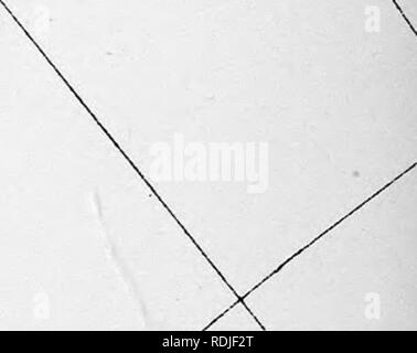 . Der Antarktis Handbuch für die Nutzung der Expedition von 1901. Wissenschaftliche Expeditionen; Naturgeschichte; Geophysik. ^^ fsyf ff&gt; 4^jJi^^ - ICH-^ Ich "9 T; "s*i''''/6x - '^. // Funktioniert, y. Bitte beachten Sie, dass diese Bilder sind von der gescannten Seite Bilder, die digital für die Lesbarkeit verbessert haben mögen - Färbung und Aussehen dieser Abbildungen können nicht perfekt dem Original ähneln. extrahiert. Royal Geographical Society (Großbritannien); Murray, George, 1831 -. London: Royal Geographical Society Stockfoto