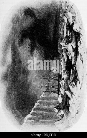 . Der Antarktis Handbuch für die Nutzung der Expedition von 1901. Wissenschaftliche Expeditionen; Naturgeschichte; Geophysik. Die ERZÄHLUNG VON CHARLES WILKES. 379 bestanden, bevor sie völlig klar war. Dies gab mehr Raum für das Driften Eis, und erlaubt das Schiff durch ihre Segel bearbeitet zu werden. Die Befreiung von diesem drängenden Gefahr, aber erfreulich, gab Nr. Qualitätssicherung der ultimative Sicherheit; das Wetter hatte ein ungewöhnlich stürmischer Auftritt, und die Zerstörung des Schiffes schien fast unvermeidlich, mit der Verlust jedes Leben an Bord. Sie hatten die Melancholie zu ändern. Bitte beachten Sie, dass diese Bilder sind Stockfoto