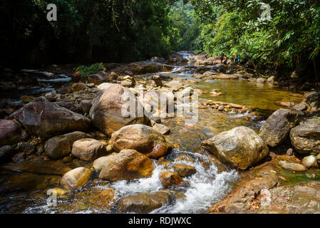 Kallar River in der Nähe von Meenmutty fällt, Ponmudi Hügel, Kerala, Indien Stockfoto