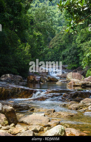 Kallar River in der Nähe von Meenmutty fällt, Ponmudi Hügel, Kerala, Indien Stockfoto