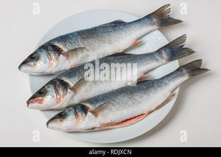 Sauber Wolfsbarsch auf einer Platte Stockfoto
