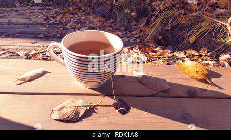 Großen Teetasse mit Organic Green Tea auf natürliche Holzoberfläche ein frisches und gemütliches fallen Morgen draußen in der warmen Sonne mit Herbst um Blätter. Stockfoto