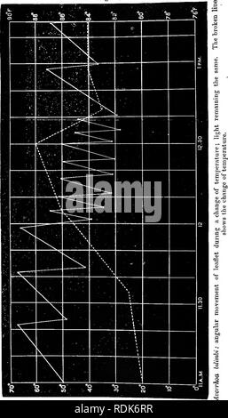 . Die Kraft der Bewegung in Pflanzen. Pflanzen, Botanik. 334 CIECUMNUTATION geändert. Abb. 135. Kap. VII. Bitte beachten Sie, dass diese Bilder sind von der gescannten Seite Bilder, die digital für die Lesbarkeit verbessert haben mögen - Färbung und Aussehen dieser Abbildungen können nicht perfekt dem Original ähneln. extrahiert. Darwin, Charles, 1809-1882; Darwin, Francis, Sir, 1848-1925. New York, Appleton Stockfoto