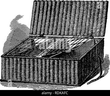 . Die praktischen Taube Keeper. Tauben. Körbe feind Tauben. • 63 Diagonal (alle Taube Fächer sollten weiter an den Schultern der Vögel), entsprechend der Größe; für unsere Abbildung haben wir einen kleinen Korb genommen und nur eine Diagonale in jeder Hälfte, die rhole damit vier bii-ds. Jetzt zwei Klappe öffnen Türen machen, entweder von Licht Kabel oder Vicker, gerade groß. Rig. 20.- FiGEOH Korb. Genug zu liegen, ihre inneren Seiten auf dem mittleren Stück Holz, und Ihre äußeren Beteiligte auf kleinen Halterungen in den Ecken im Korb fixiert. Laufwerk in kleinen Heftklammern über den inneren Draht oder ein Stück der Wicker Stockfoto