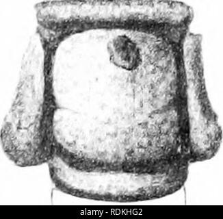 . Ordovizium Fossilien von North China. Paläontologie, Paläontologie. . Bitte beachten Sie, dass diese Bilder sind von der gescannten Seite Bilder, die digital für die Lesbarkeit verbessert haben mögen - Färbung und Aussehen dieser Abbildungen können nicht perfekt dem Original ähneln. extrahiert. Grabau, Amadeus W. (Amadeus William), 1870-1946. Peking, durch die Geologische Übersicht China veröffentlicht. Stockfoto