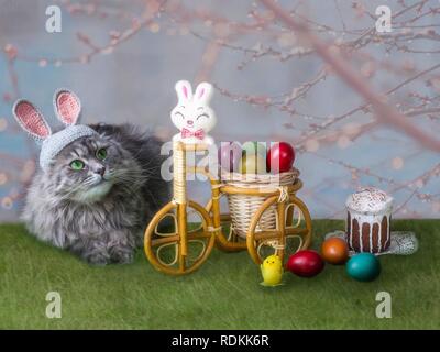 Lustige grau Kitty bei Bild Osterhase Stockfoto