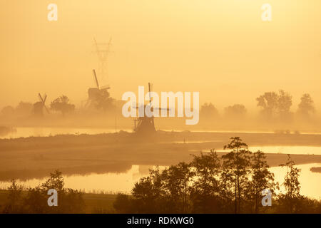 Historische alte Windmühlen in einer nebligen Morgen in der Doespolder im Dorf von Rotterdam in den Niederlanden. Stockfoto