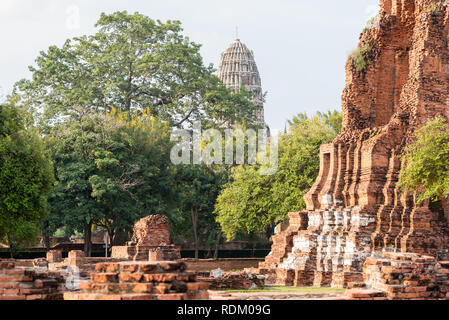 Brick Ruinen einer alten buddhistischen Tempel Wat Phra Mahathat (mahatat) und einer zentralen Prang (Turm hinter einem großen Baum) von Wat Ratburana in Ayutthaya Stockfoto