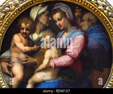 Madonna mit Kind und St. Elisabeth und dem Johannes-Kind von Andrea del Sarto 1486–1530 Italienischer Maler aus Florenz, Hochrenaissance und frühem Manierismus. Andrea d' Agnolo, Italien, sagte, Andrea del Sarto, Florenz, Italien, Italienisch , Stockfoto