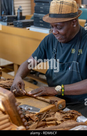 Kubanische Mann, Zigarren in Zigarrenfabrik in Little Havana, Miami, Florida Stockfoto