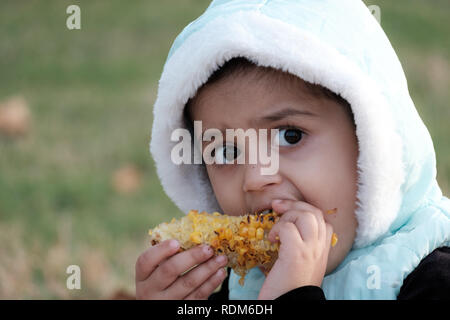 Kleines Mädchen essen Mais, während draußen im Park Stockfoto