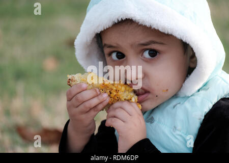 Kleines Mädchen essen Mais, während draußen im Park Stockfoto