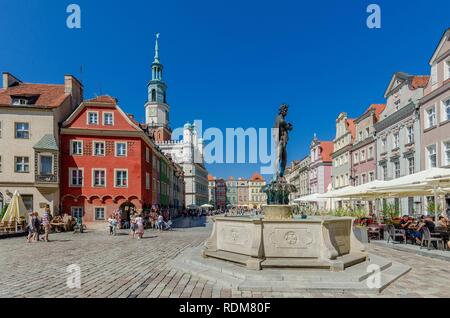 Der Provinz Großpolen Posen/Polen - vom 20. Juli 2018: Apollo Brunnen auf dem Alten Marktplatz, Rathaus im Hintergrund, Altstadt. Stockfoto