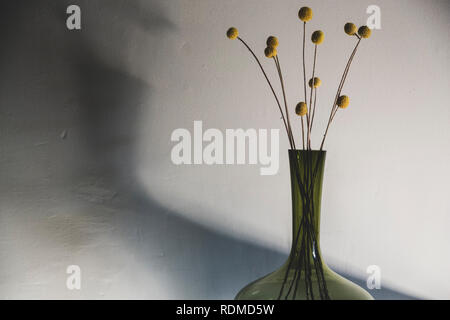 In der Nähe von empfindlichen Getrocknete Ananas Blumen in grün Glas Vase. Stockfoto