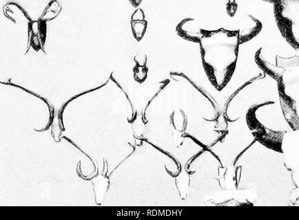 . Big Game schießen im oberen Burma. Jagd; Zoologie. "XT V v Wy v41 i 4^. Verschiedene Trophäen, hauptsächlich aus Burma, IQ 08. Bitte beachten Sie, dass diese Bilder sind von der gescannten Seite Bilder, die digital für die Lesbarkeit verbessert haben mögen - Färbung und Aussehen dieser Abbildungen können nicht perfekt dem Original ähneln. extrahiert. Evans, George Patrick Elystan, 1872 -. London: Longmans, Grün Stockfoto