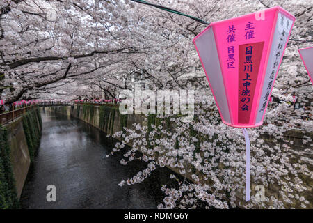 Meguro Fluss unter Kirschblüten, Tokio, Japan. Stockfoto