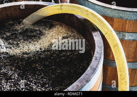 Hohen winkel Nahaufnahme von fermentierten schwarzen Trauben in einem Eichenfass in einem Weingut. Stockfoto