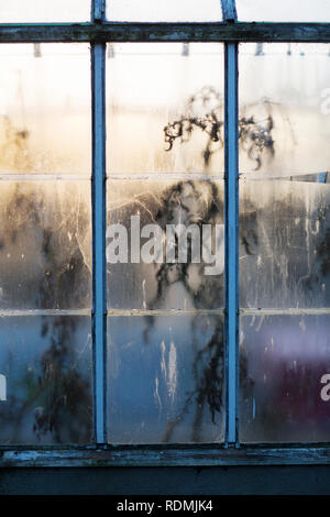 Nahaufnahme der Milchglas Fenster Stockfoto