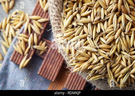 Hafer (Avena sativa), auch als gemeinsame Oat in sackleinen Sack bekannt Stockfoto