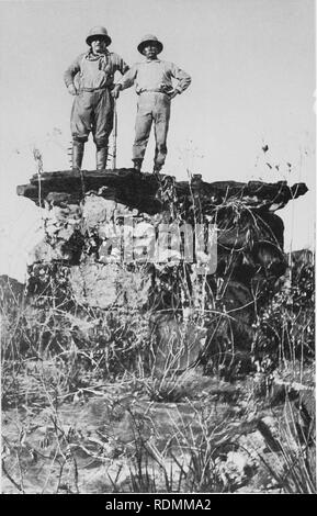 . Durch die brasilianischen Wildnis. Roosevelt-Rondon wissenschaftliche Expedition (1913-1914); Zoologie. . Bitte beachten Sie, dass diese Bilder sind von der gescannten Seite Bilder, die digital für die Lesbarkeit verbessert haben mögen - Färbung und Aussehen dieser Abbildungen können nicht perfekt dem Original ähneln. extrahiert. Roosevelt, Theodore, 1858-1919. London: J. Murray Stockfoto